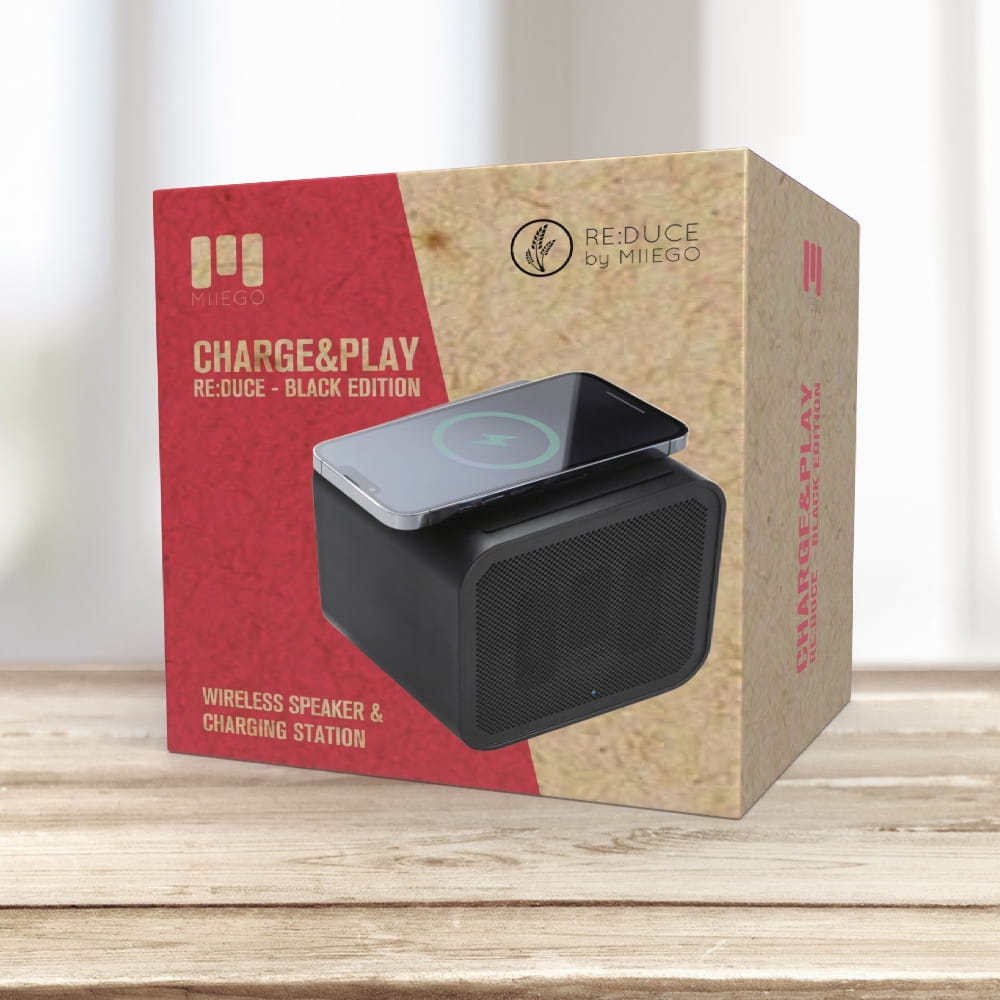 CHARGE&PLAY RE:DUCE - Black