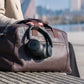 MOOVE 65 LUX - HYBRID ANC - Black